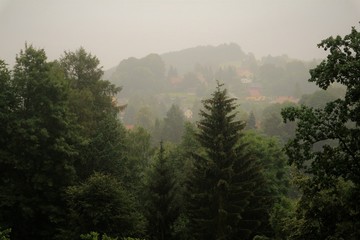Obraz na płótnie Canvas Nebel Richtung Hinterhermsdorf