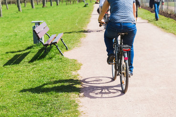 bicycle rider on a path in a park