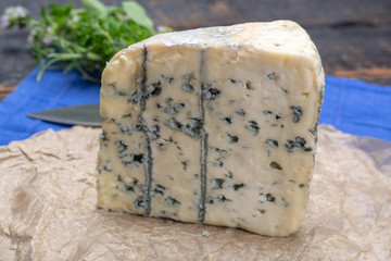 Blue cheese made from cow milk with Penicillinum mold, tasty soft cheese with specific odor