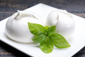 Fresh soft white burrata, ball buttery cheese, made from a mix of mozzarella and ricotta cream, original from Apulia region, Italy, very popular soft cheese in USA