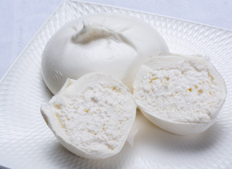 Fresh soft white burrata, ball buttery cheese, made from a mix of mozzarella and ricotta cream, original from Apulia region, Italy, very popular soft cheese in USA