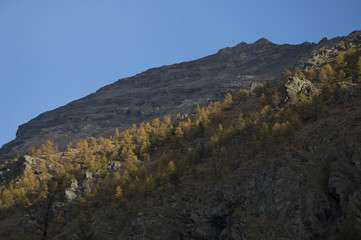 Autumn Mountain