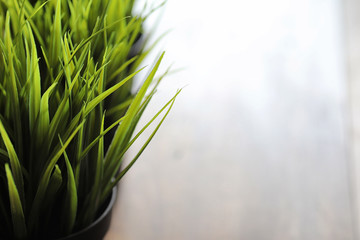 tasty nuts on a wooden table