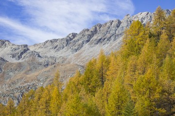 Autumn Mountain