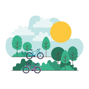 forest landscape with bicycle scene vector illustration design
