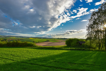 Freedom, Field with blue sky