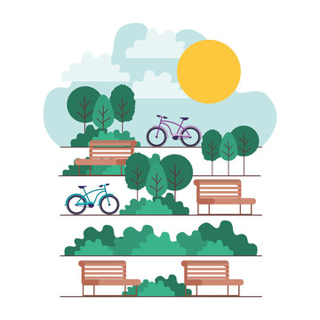 park with chair and bicycle scene vector illustration design