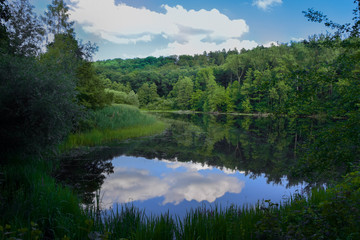 Fototapeta na wymiar Reflection of a lake in tge forest