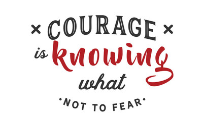Courage is knowing what not to fear.