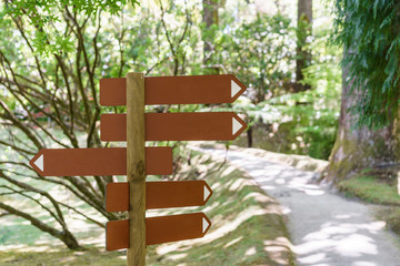 Wooden track pointer in the forests. Pointer on a path in the forest. Sao Miguel, Azores. Portugal.