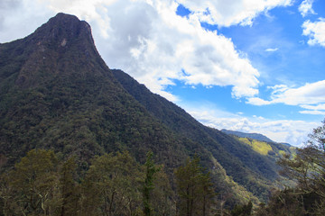 Valle de Cocora, salento colombia