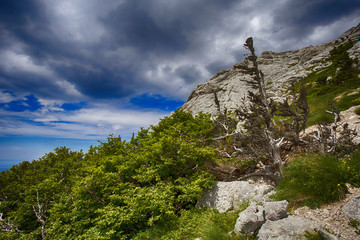 Croatian Velebit mountain landscape - path to Balinovac peak