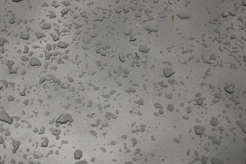 Landscape is summer. Green trees and grass in a countryside land