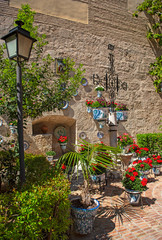 Fototapeta na wymiar Typical wall of plants in Granada, Spain