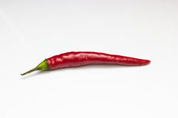 One chili pepper on white background, close-up