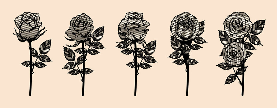 Rose vector lace by hand drawing.Beautiful flower on brown background.Rose lace art highly detailed in line art style.Flower tattoo on vintage paper.