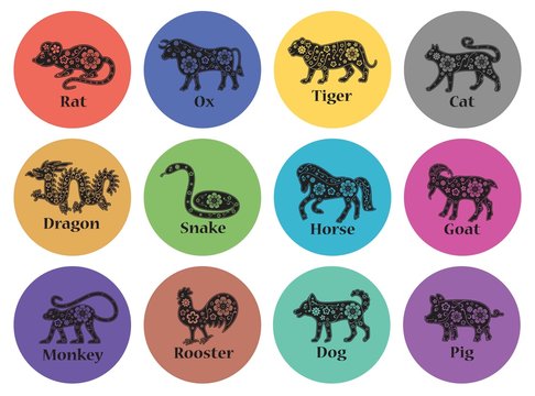 Chinese Horoscope 2019, 2020, 2021, 2022, 2023, 2024, 2025 Years. Floral Ornament. Animal Symbols. Colorful Vector Signs