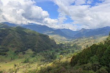 Valle de Cocora, salento colombia