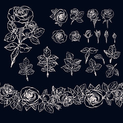 Isolated outline rose elements on dark background. Seamless brush made of rose buds and leaves. Chalk.