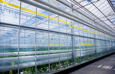 The frame of a modern greenhouse against the sky
