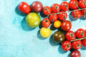 Colorful Organic Tomatoes on table. Fresh Organic Red Yellow Orange and Green Tomatoes