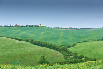 Fototapeta na wymiar Landscape view in Tuscany
