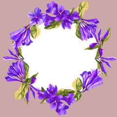 floral frame, watercolor weigela flower