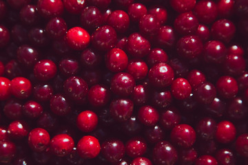 Dark red cherry closeup background. Vintage effect. Organic food.