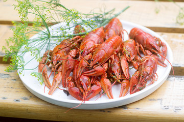 Fresh crayfish boiled with spices and dill served on a round dish.