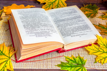 Naklejka na ściany i meble Open book with autumn leaves on it.