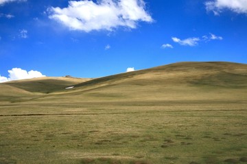 Fototapeta na wymiar The large meadow with blue sky at Ulaanbaatar , Mongolia