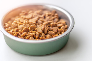 A bowl of cat food in the shape of a heart in the sunlight