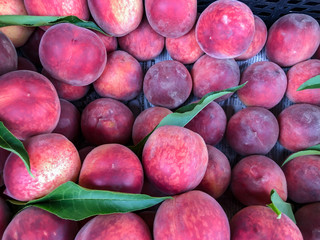 Ripe peaches. Fruit, vitamins.  Summer healthy food