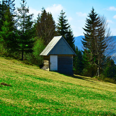 old wooden house in the mountains, on a slope