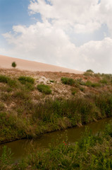 Fototapeta na wymiar dunes à Nieuport Belgique