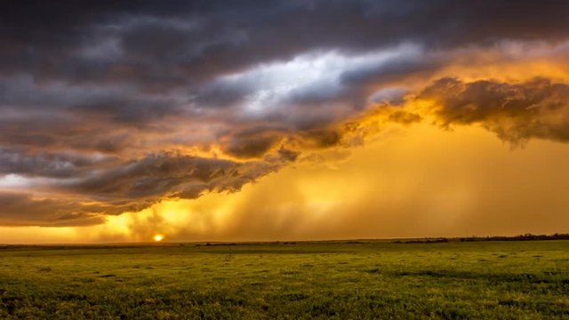 Suring sunset in the Great Plains in Tornado Alley, a storm moves through pouring rain against orange sunlight
