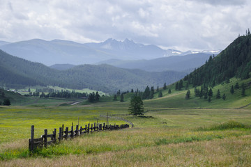 In the Altai mountains