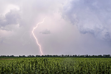 Summer thunderstorm with lightning.