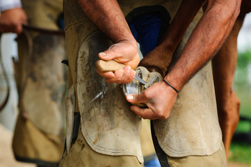 Horse farrier trimming horses hoof