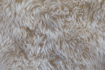 Close-up of a white shaggy carpet texture background viewed from above