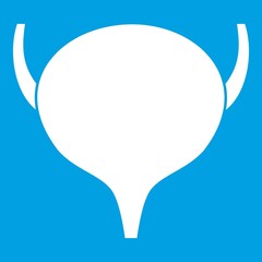 Bladder icon white isolated on blue background vector illustration