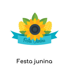 Festa junina icon vector sign and symbol isolated on white background, Festa junina logo concept