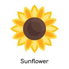 Sunflower icon vector sign and symbol isolated on white background, Sunflower logo concept