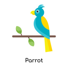 Parrot icon vector sign and symbol isolated on white background, Parrot logo concept