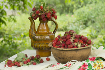 Old ceramic pot full of fresh red strawberries and clay on canvas.  Healhty food fruits diet.