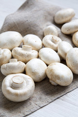 Fresh raw champignon mushrooms, side view. Close-up.