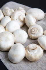 Fresh raw champignon mushrooms, side view. Close-up. Black background.
