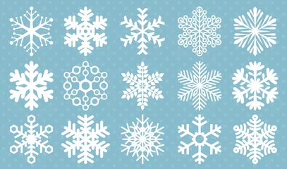 Foto op Aluminium Flat design line snowflakes vector icon set. © mushakesa
