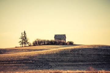 Fototapeta premium Little House On The Prairie