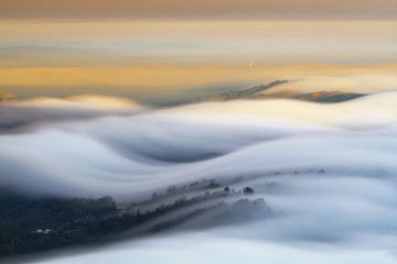 Rolling Fog on Mountain Tamalpais